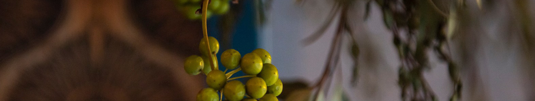 消費税外税方式へ変更のお知らせ